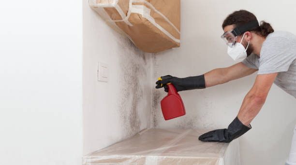 Professional Black Mold Removal technician working in New Church, VA