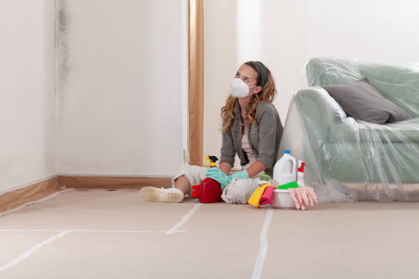 Reliable Black Mold Removal contractor in New Church, VA by WQB Mold Removal